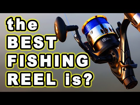 Are Spinning Reels Good Enough for Catfish?
