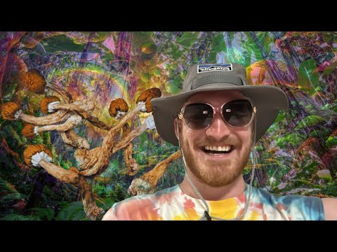 Taking MUSHROOMS In The JUNGLE In Thailand 🇹🇭