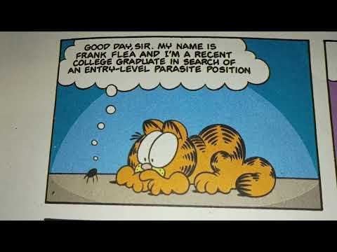Garfield Comic Dub #78 (11/28/1999)