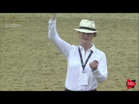 N.165 ASEEL ALWAAB - 2019 Qatar Nat. Peninsula show - Stallions 4 to 6 Years Old (Class 10) .mp4