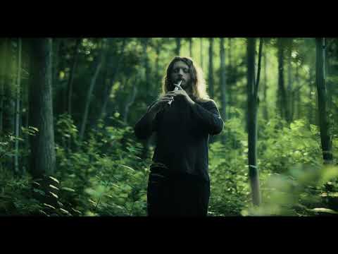 Ori and the Will of the Whisps OST Main Theme played by Fabian Zechmeister