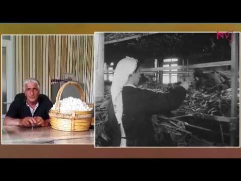 BƏRƏKƏT 22.06.2026