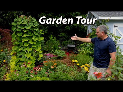 , title : 'Garden Tour - Unseen New and Unique Plants'