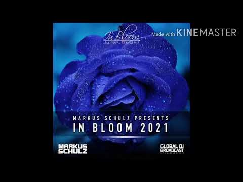 Markus Schulz ft. Lovlee – Temporary Highs [COLDHARBOUR]