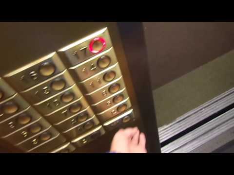 Otis Elevonic 101? (mb Otis Elevonic 411M) T. E. at Apart-Hotel Mezhdunarodnaya-2 in Moscow, R