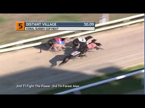 2020 CORAL SUSSEX CUP - HEAT 1 - T5 DISTANT VILLAGE