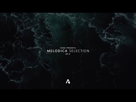 AN3M Presents: Melodica Selection EP.5 (John Summit, Cassian, HAYLA, Anriu, Ophanim, Dobè, AN3M...)