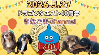【ドラクエ10】Lv298 ドラゴンクエスト40周年おめでとう！