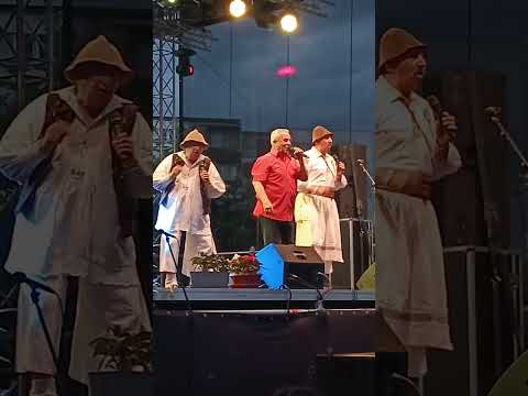 Zilele orașului Luduș cu Sergiu Vitalian Vaida și Nănașii