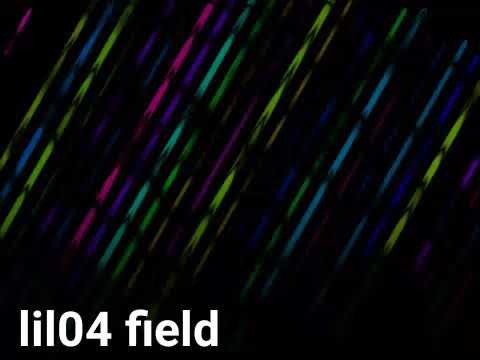 Lil04 field