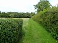 Love Will Find Out The Way - Maddy Prior 