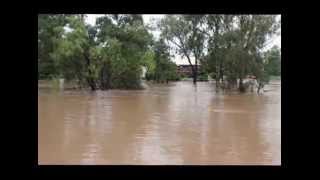 preview picture of video 'FLOOD - Myall Ck at Dalby - 28 JAN 2013.flv'