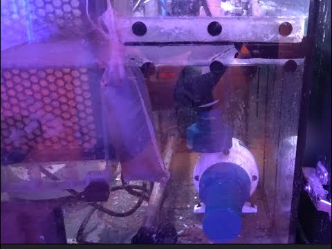 Year End Update on My Reef Tank!