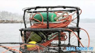 Huge Toxic Algal Bloom Shuts Down West Coast Fisheries