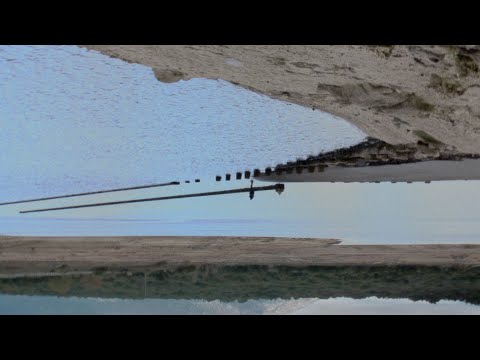 TAIFA YALLAH - TAIFA