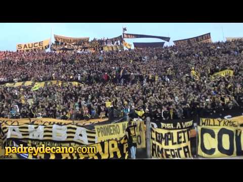 ""La Copa Libertadores es mi obsesión" | Peñarol vs Emelec | Libertadores 2013" Barra: Barra Amsterdam &bull; Club: Peñarol