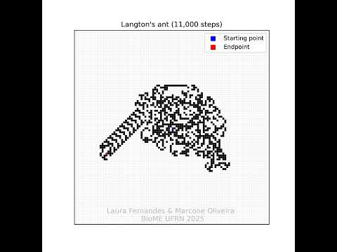 Langton's Ant in Python (11,000 steps)