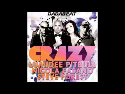 Lumidee feat. Pitbull vs. Nicola Fasano & Steve Forest - Crazy (Purebeat Remix)