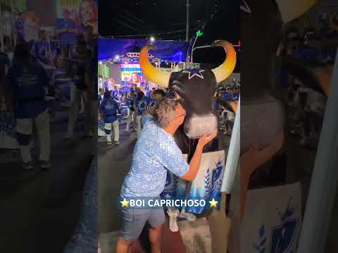 DO NADA EU COM O BOI CAPRICHOSO ⭐️💙 #parintins #amazonas