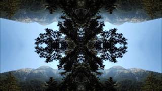 Acid Rockers - There Can Be Only Two