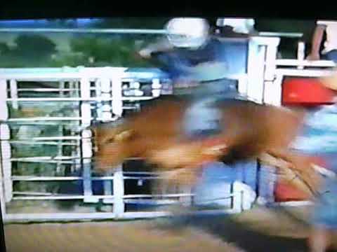 jr bull riding 1997