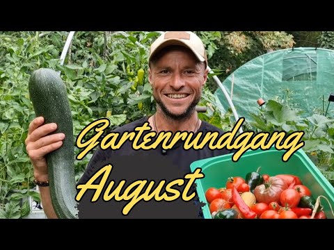 Garden tour at the end of August | 🍅Tomatoes, pumpkin & challenges 💡Tips & tricks