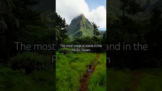 The most magical island in the Pacific Ocean #moorea #frenchpolynesia