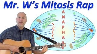 Mitosis Rap: Mr. W's Cell Division Song
