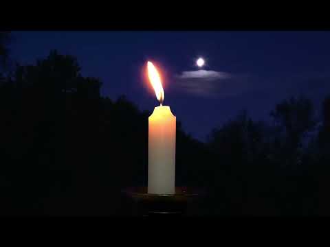 FULL MOON VIDEO HD | Free Stock Footage  | Free HD Video  | no copyright