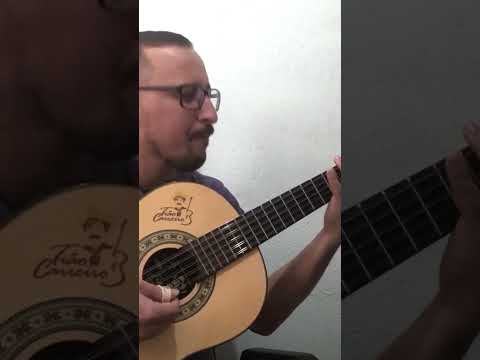 Oi Paixão - Borges da Viola