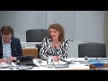 Leijten (SP) is KEIHARD: "Het KABINET is te BANG voor een REFERENDUM en wil nu SCHIJN inspraak!"