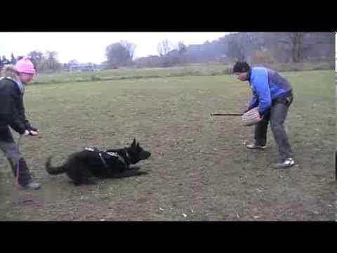 Woltair z Gargamellu protection 8 months