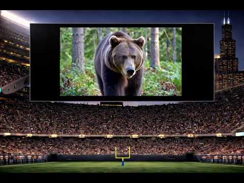 Good, Better, Best (Lyric Video) – Armando Rivera & The Chicago Connection