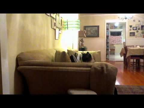 Charlene Butterbean and Friends