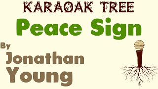 Jonathan Young - Peace Sign (Karaoke)
