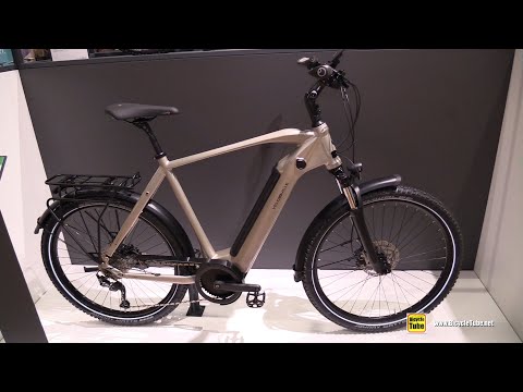 Stylish French Electric Bike !!! - 2023 Velo De Ville Tour SEB 890 Smart Smooth