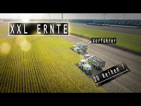 Lohnunternehmen Carsten Meyer - XXL Maisernte mit KRONE Vorführer | LKW Abfahrer | CLAAS vs. KRONE