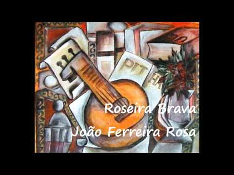 Roseira Brava - João Ferreira Rosa