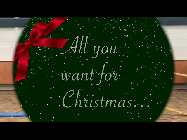 Nobel Heart @ tryout home