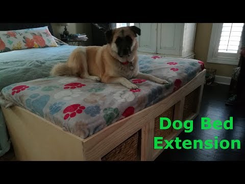 download lagu mp3 mp4 Human Sized Pet Bed, download lagu Human Sized Pet Bed gratis, unduh video klip Human Sized Pet Bed