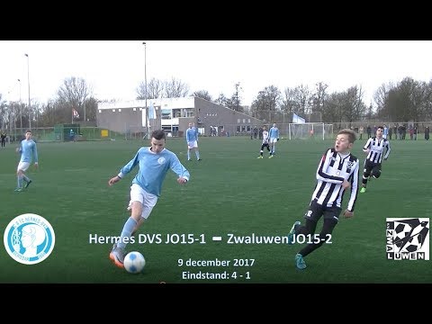 Samenvatting Hermes DVS JO15-1 - Zwaluwen JO15-2