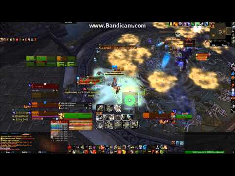 Direct vs. Throne of Thunder 5/12 10m Normal - Prot Warrior PoV