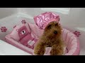 It S A Bath Time