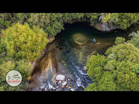 TAUPO - Fly Fishing New Zealand’s North Island Backcountry - Trophy Trout & Māori Insight