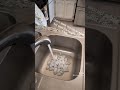 Sink disposal cleaning #tiktok #fyp #cleaning #clean #cleanwithme #cleaningtips
