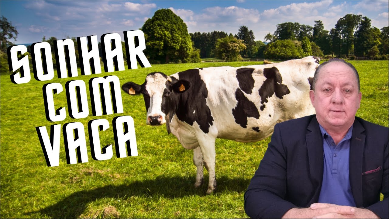 O QUE SIGNIFICA SONHAR COM VACA