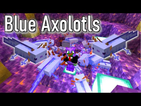 I Got the RAREST Axolotl in Minecraft Survival!