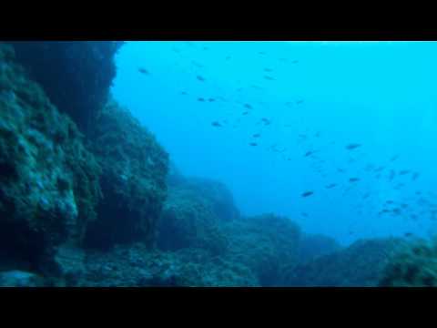 Scootering Scilla con Un Tuffo Nel Blu