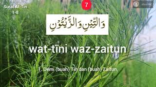 Download lagu At-Tin 1-8 read 10x || Memorizing the letter At-Tin || At-Tin Hanan Attaki mp3