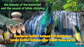 Download lagu MASTERAN KORLAP GACOR FULL TEMBAKAN // TERAPI KORLAP AGAR CEPAT BUKA PARUH/WATERFALL AND BIRD SOUNDS mp3 Download lagu MASTERAN KORLAP GACOR FULL TEMBAKAN // TERAPI KORLAP AGAR CEPAT BUKA PARUH/WATERFALL AND BIRD SOUNDS mp3